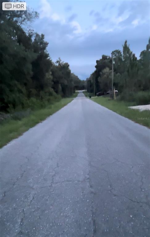 A paved road stretches into the distance, flanked by trees and greenery under a cloudy sky — Lot 20 NE 155TH COURT, WILLISTON, FL