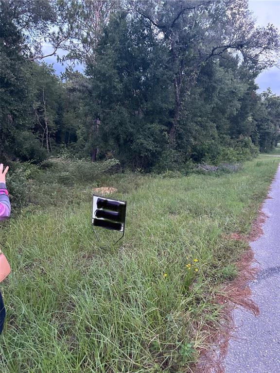 A grassy roadside lot with trees in the background and a blank sign in front — Lot 20 NE 155TH COURT, WILLISTON, FL
