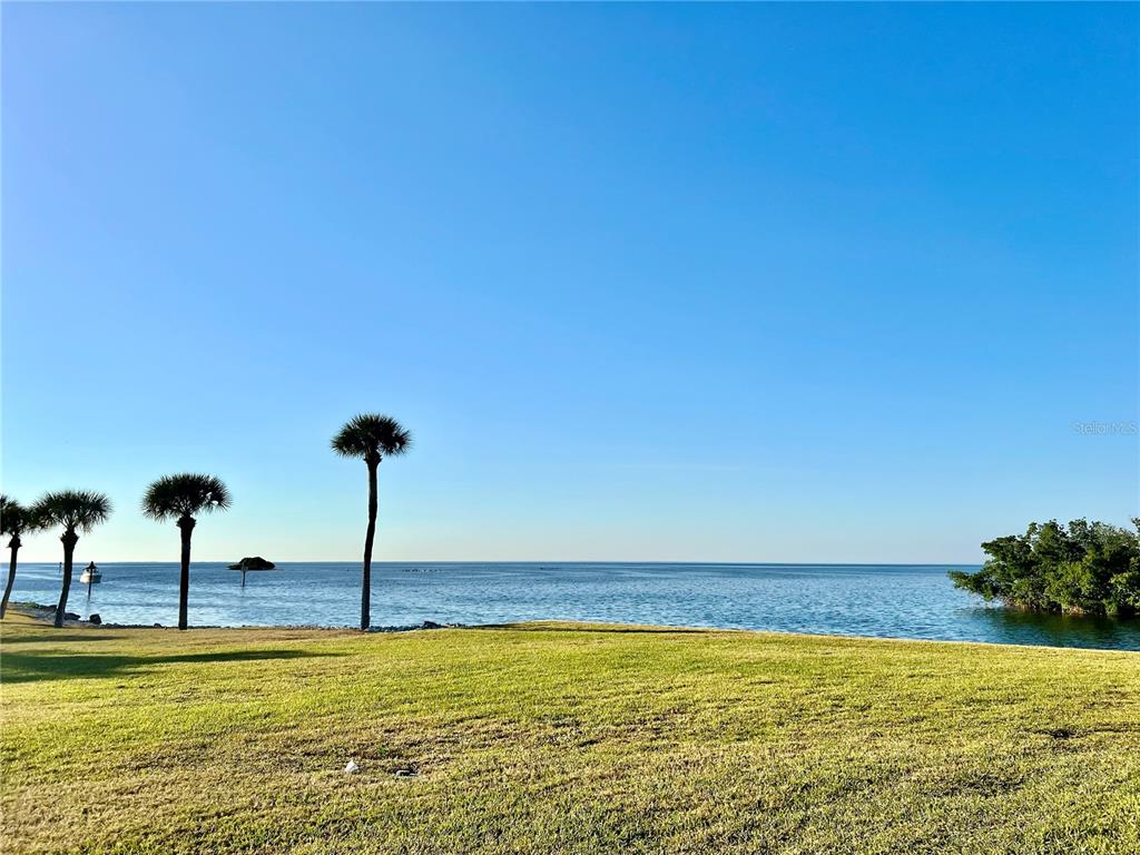 A grassy lawn overlooks a calm ocean with several palm trees and distant mangroves — 3280 SOUTHSHORE DRIVE UNIT 87A, PUNTA GORDA, FL