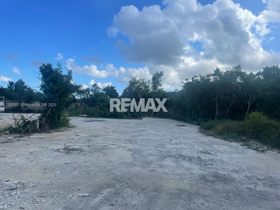 A flat, cleared dirt lot is surrounded by dense green trees under a cloudy sky — Vista cana punta cana, PU 2300, PU