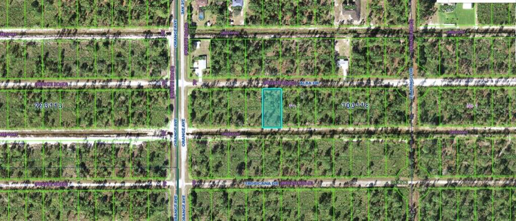 This is an aerial map showing a highlighted rectangular plot of land in a wooded area — 715 ALBA DRIVE, INDIAN LAKE ESTATES, FL