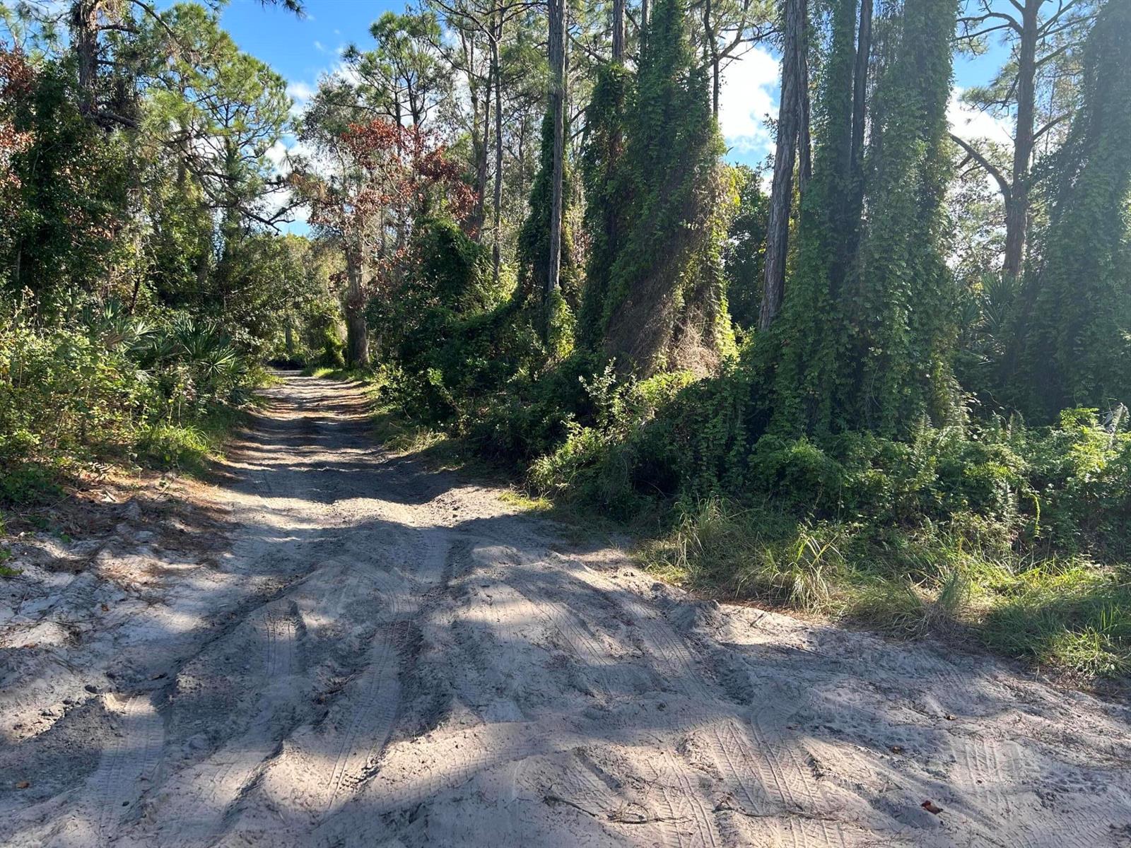 A sandy dirt path winds through a wooded area with tall trees and dense vegetation — 0 Slash Pine Trail, Fort Pierce FL 34945, FORT PIERCE, FL