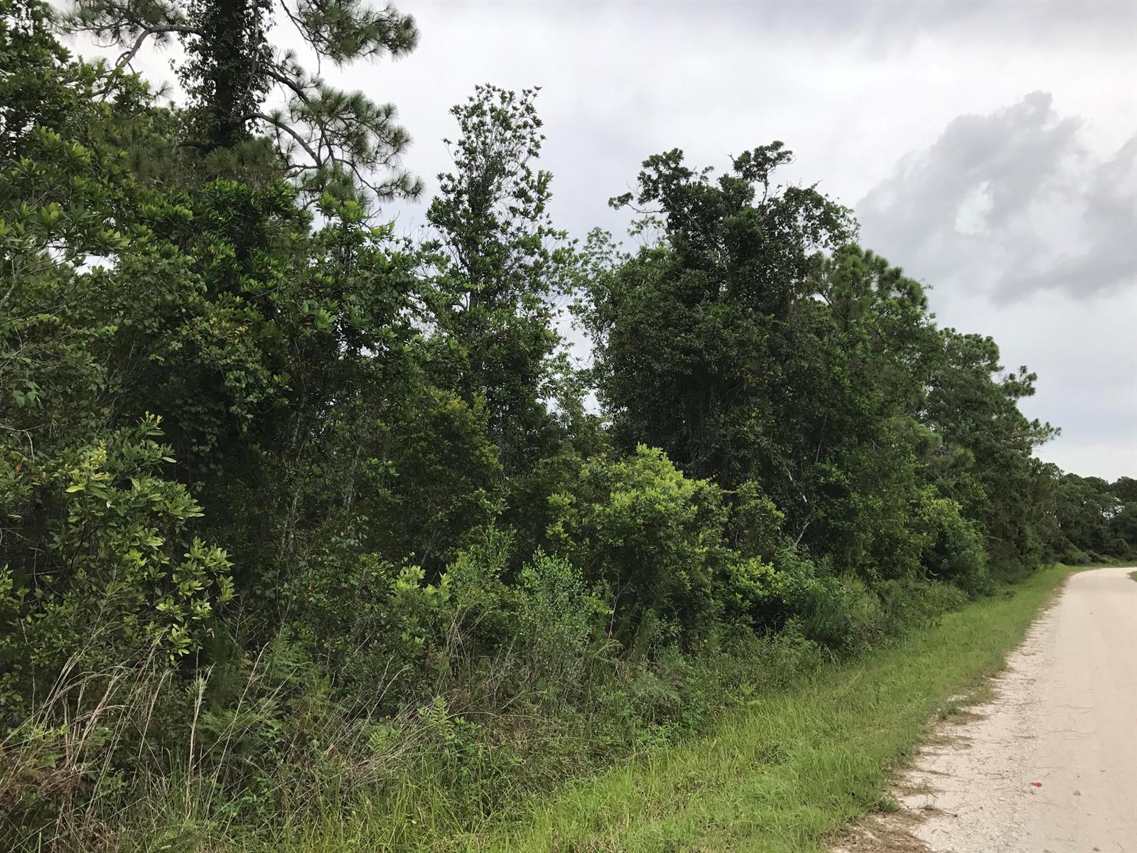 1126 Greenfield Street, Lake Placid FL 33852