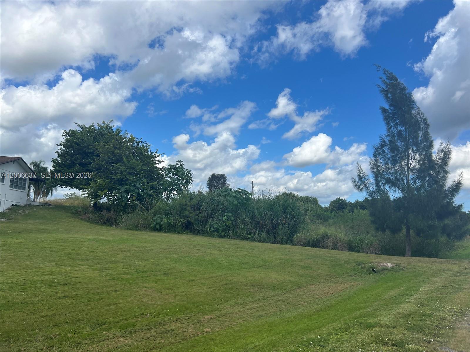A grassy yard slopes upward toward a line of trees and bushes under a cloudy sky — 1510 River Road, Moore Haven FL 33873, MOORE HAVEN, FL