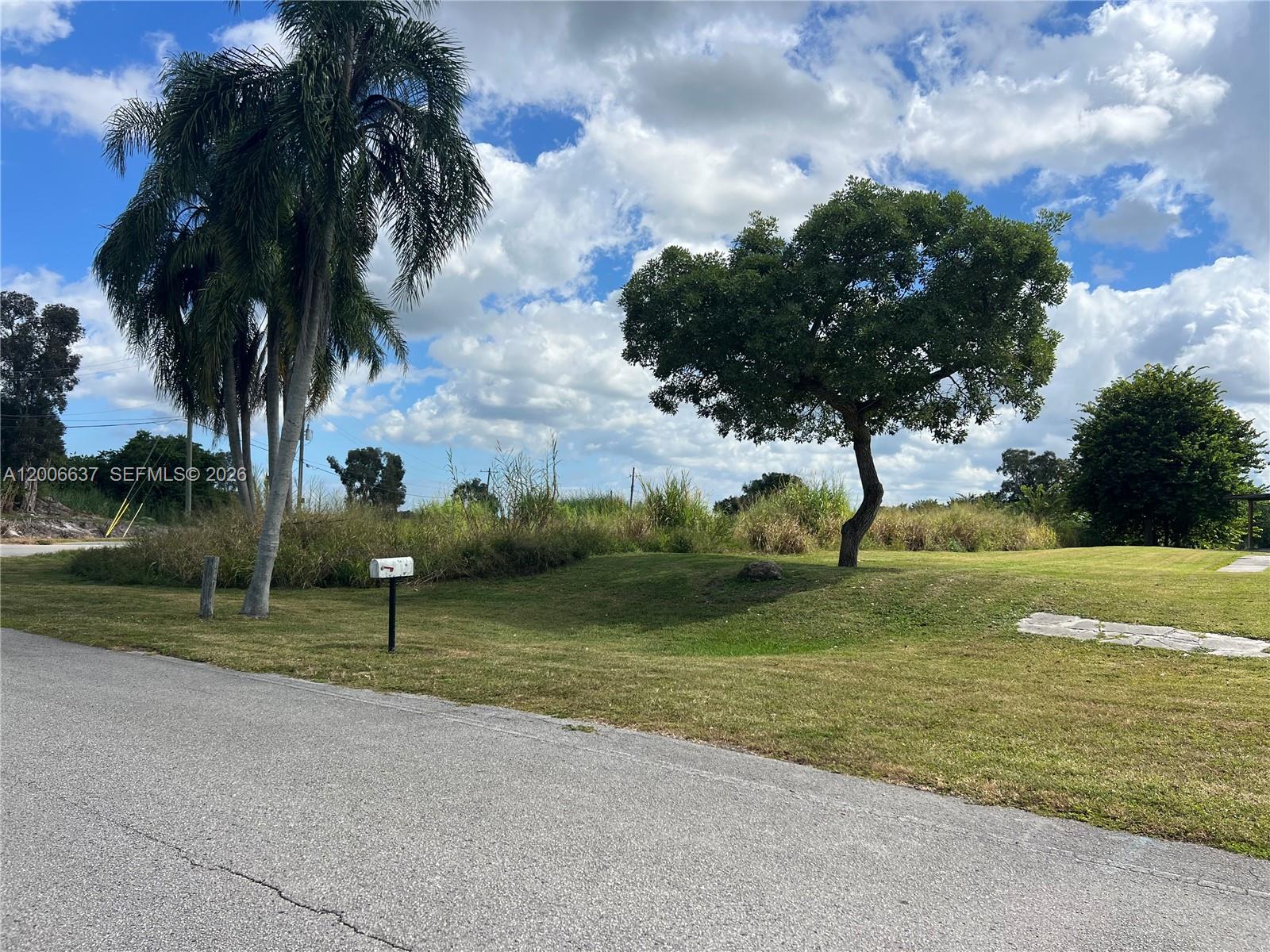 A grassy lot features a palm tree, a large deciduous tree, and a mailbox — 1510 River Road, Moore Haven FL 33873, MOORE HAVEN, FL