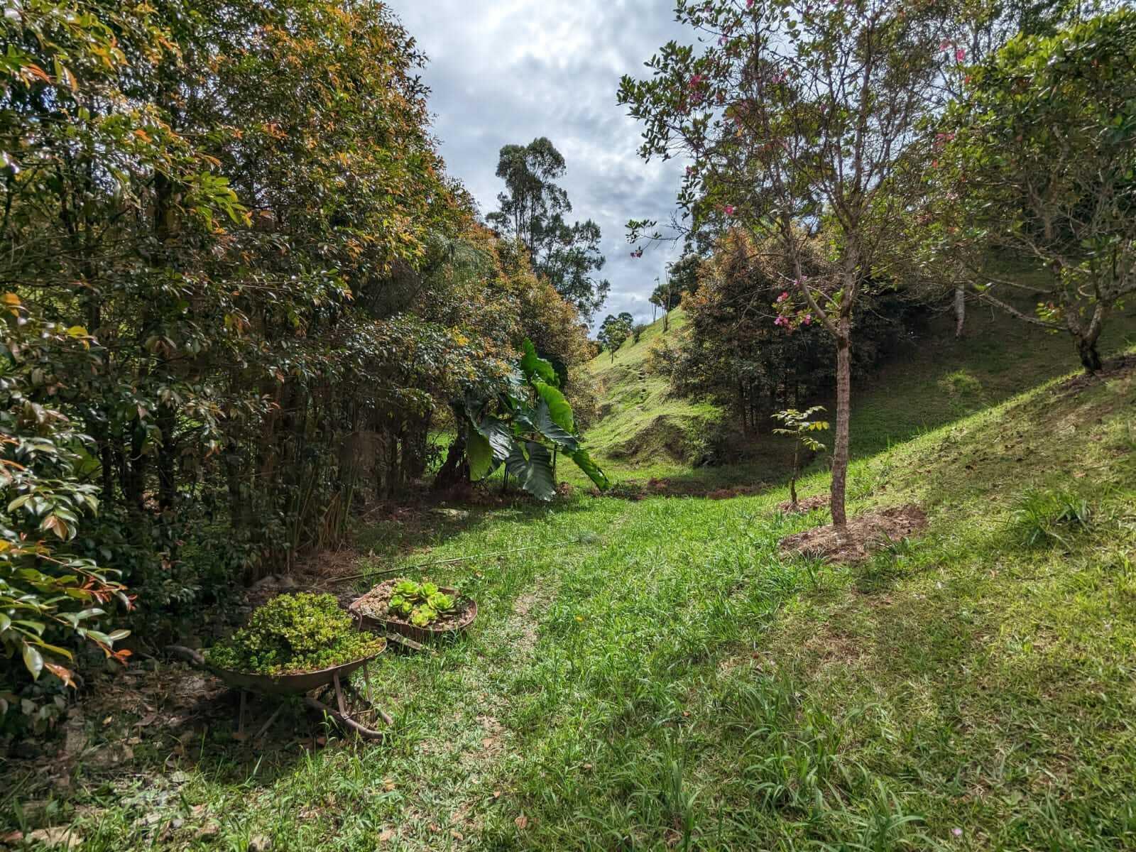 A grassy path leads through a wooded landscape with two wheelbarrows filled with plants — 00000 Vereda Santa Ana, FL