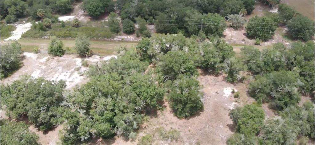 An aerial view shows a wooded lot with patches of sandy soil and sparse vegetation — 21914 NW 286TH STREET, OKEECHOBEE, FL
