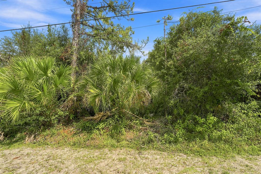 HENDERSON LANE, NORTH PORT, FL — photo 2 of 19