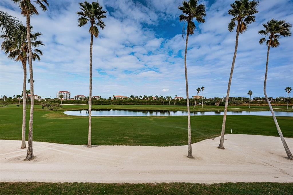 A view of a golf course with a pond, palm trees, and sand traps — 6141 BAHIA DEL MAR BOULEVARD UNIT 229, ST PETERSBURG, FL