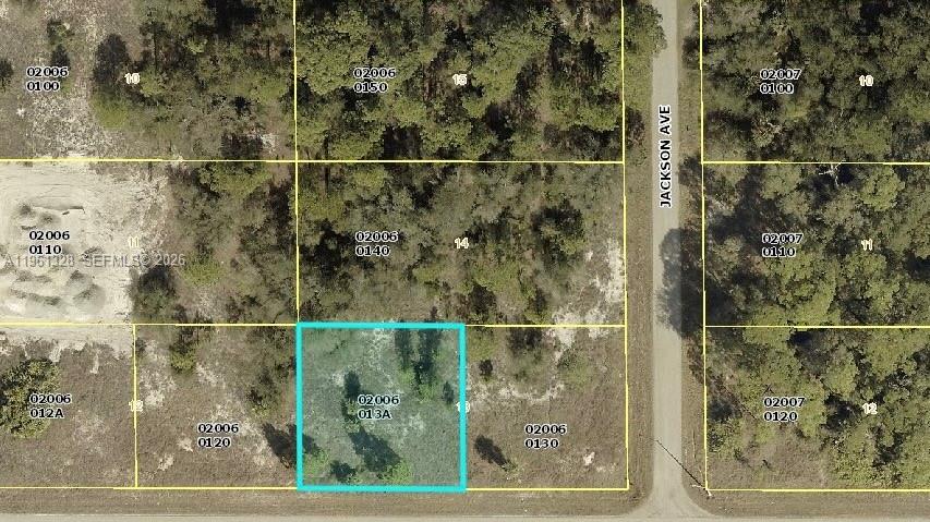 This is a map showing a highlighted rectangular plot of land surrounded by wooded lots — 2805 E 16 St, Lehigh Acres FL 33972, LEHIGH ACRES, FL