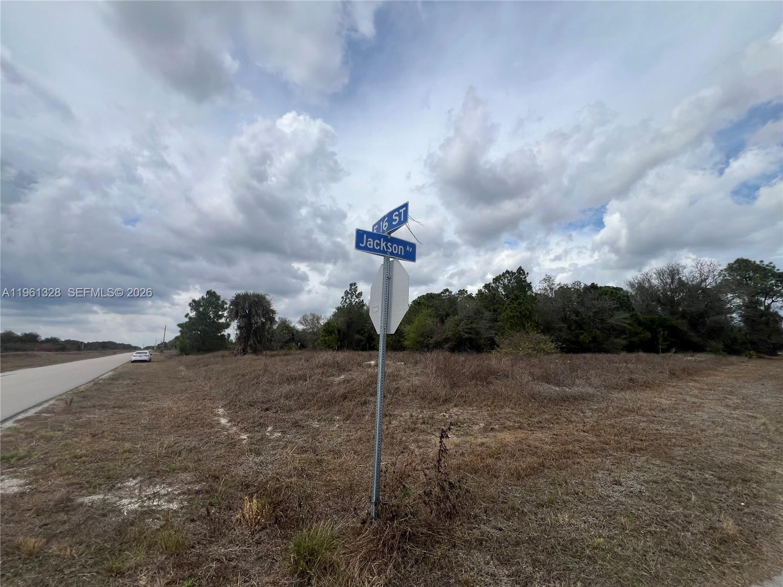 A street sign for 16 St and Jackson Av stands in a vacant, grassy lot — 2805 E 16 St, Lehigh Acres FL 33972, LEHIGH ACRES, FL