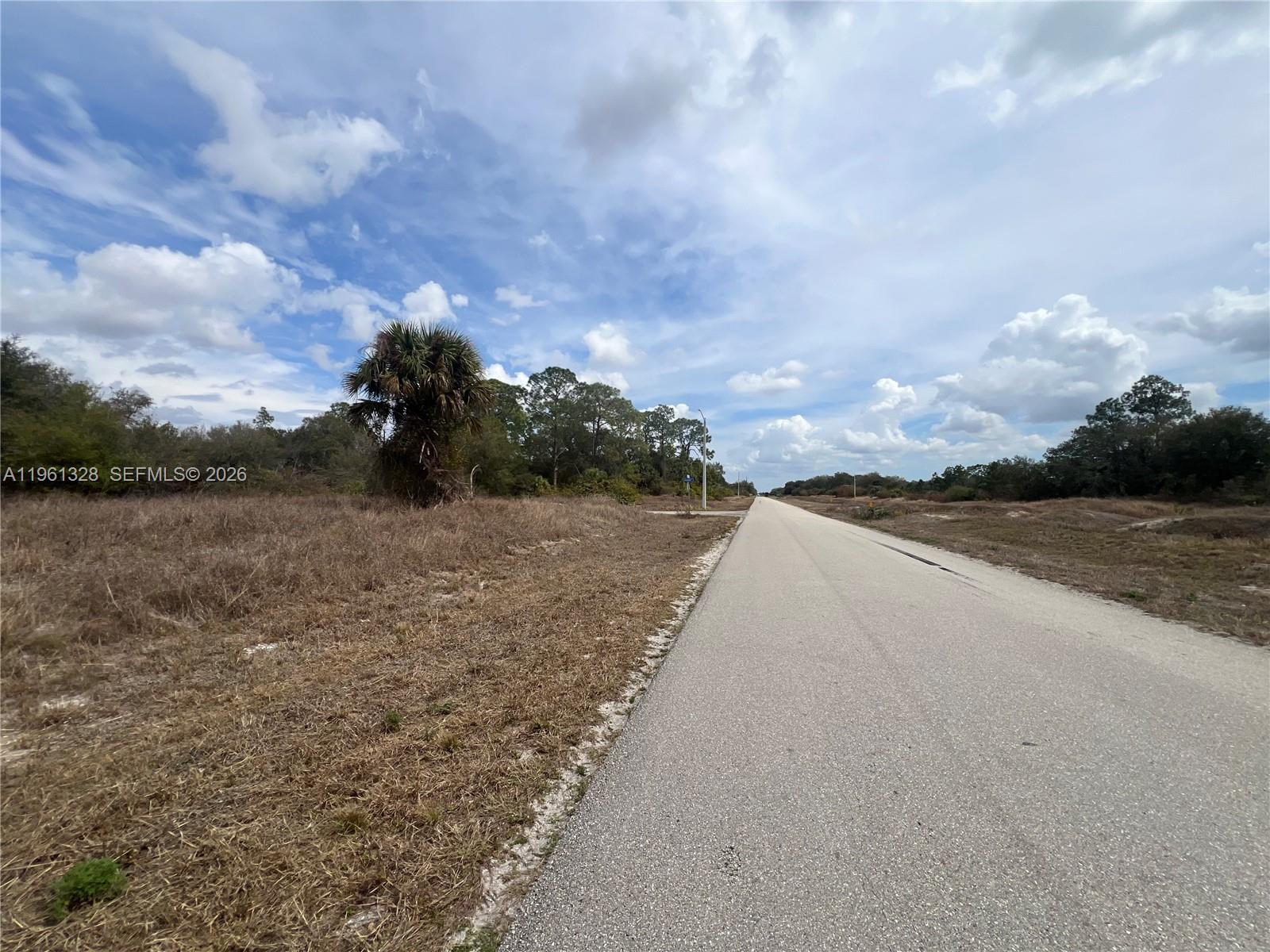 A paved road stretches through a flat, grassy landscape with scattered trees and palm trees — 2805 E 16 St, Lehigh Acres FL 33972, LEHIGH ACRES, FL