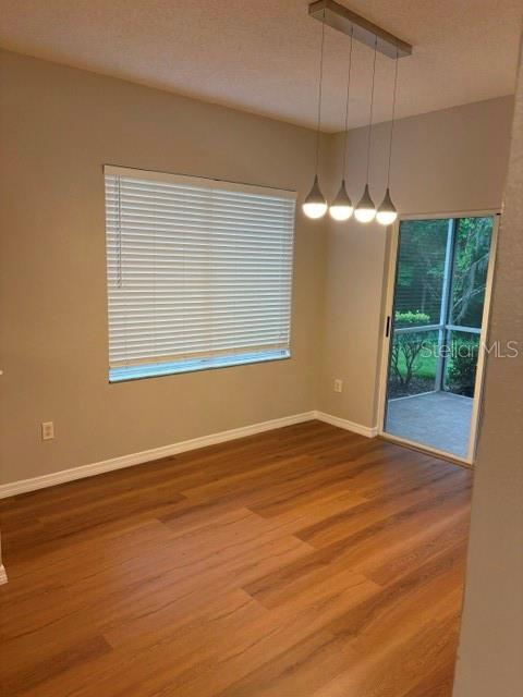 A dining area features wood-look flooring, a window with blinds, and a modern pendant light fixture — 18157 PARADISE POINT DRIVE, TAMPA, FL