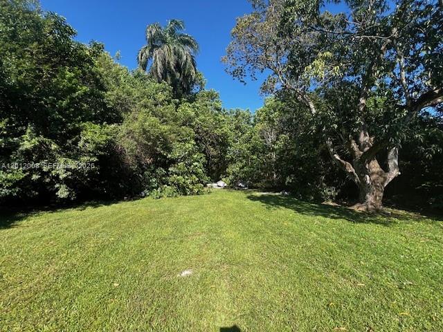 A grassy, open lot is surrounded by dense trees and a tall palm tree — 4548 SW 33rd Ave # M, Dania Beach FL 33312, DANIA BEACH, FL