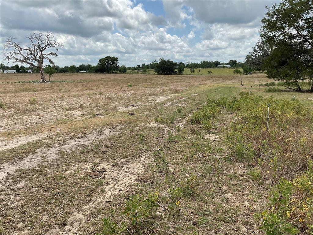 tbd NE 46TH LANE, BRONSON, FL — photo 3 of 5