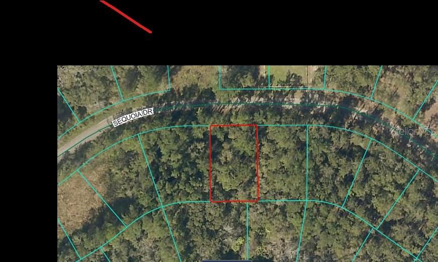 SEQUOIA DRIVE, OCKLAWAHA, FL — photo 2 of 5