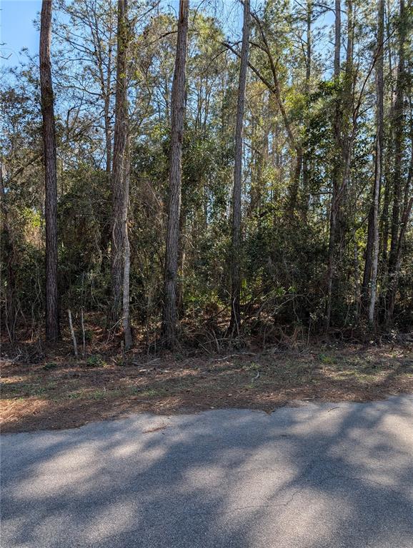 SEQUOIA DRIVE, OCKLAWAHA, FL — photo 3 of 5