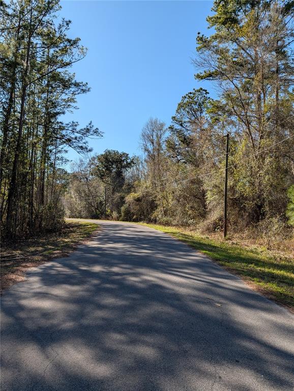 SEQUOIA DRIVE, OCKLAWAHA, FL — photo 4 of 5
