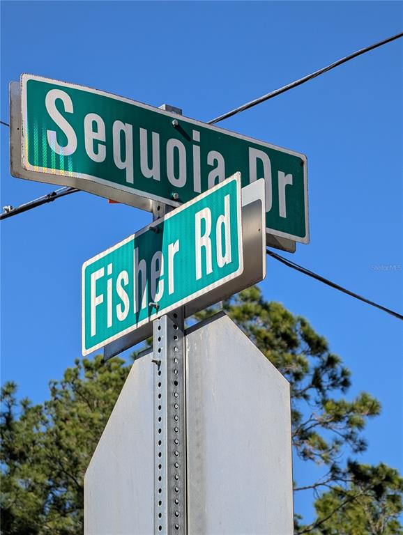 SEQUOIA DRIVE, OCKLAWAHA, FL — photo 5 of 5