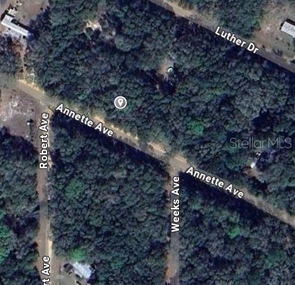 ANNETTE AVENUE, INTERLACHEN, FL — photo 2 of 5