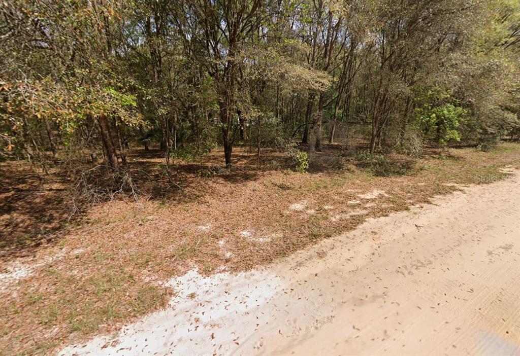 ANNETTE AVENUE, INTERLACHEN, FL — photo 4 of 5