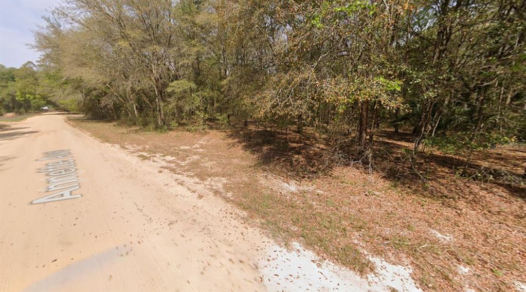 ANNETTE AVENUE, INTERLACHEN, FL — photo 5 of 5