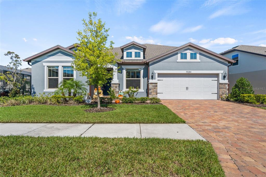 A bright entryway features wood-look flooring, a blue front door, and a view toward the living area — 19284 BRIARBROOK DRIVE, TAMPA, FL