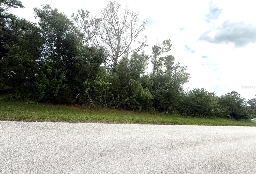 A paved road runs in front of a densely wooded, undeveloped lot — 6165 & 6173 BLACKBERRY STREET, ENGLEWOOD, FL