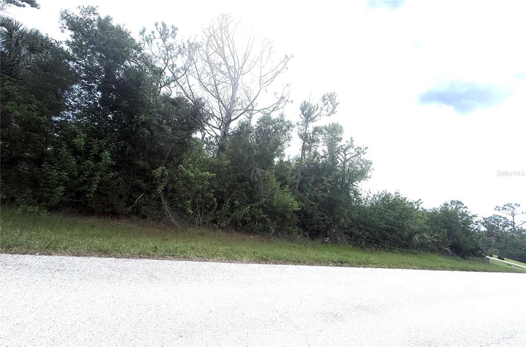 A paved road runs in front of a densely wooded, undeveloped residential lot — 6165 & 6173 BLACKBERRY STREET, ENGLEWOOD, FL