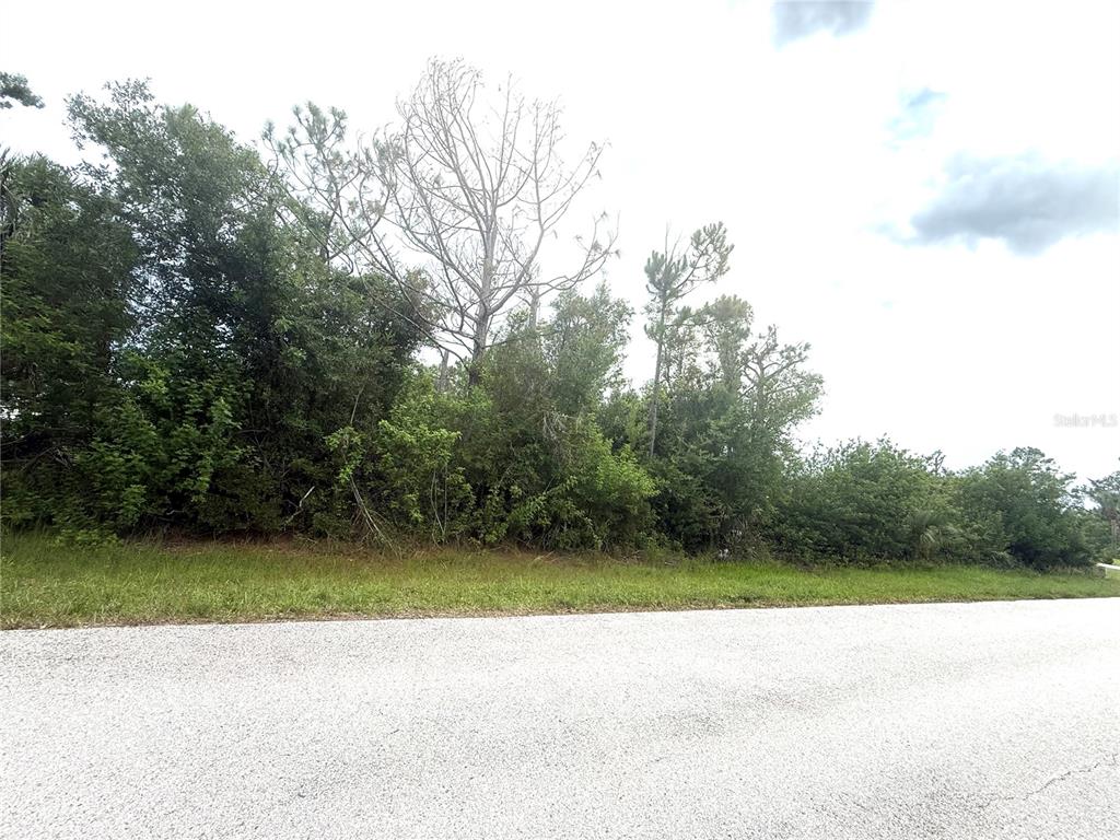 A paved road runs in front of a densely wooded, undeveloped residential lot — 6165 & 6173 BLACKBERRY STREET, ENGLEWOOD, FL