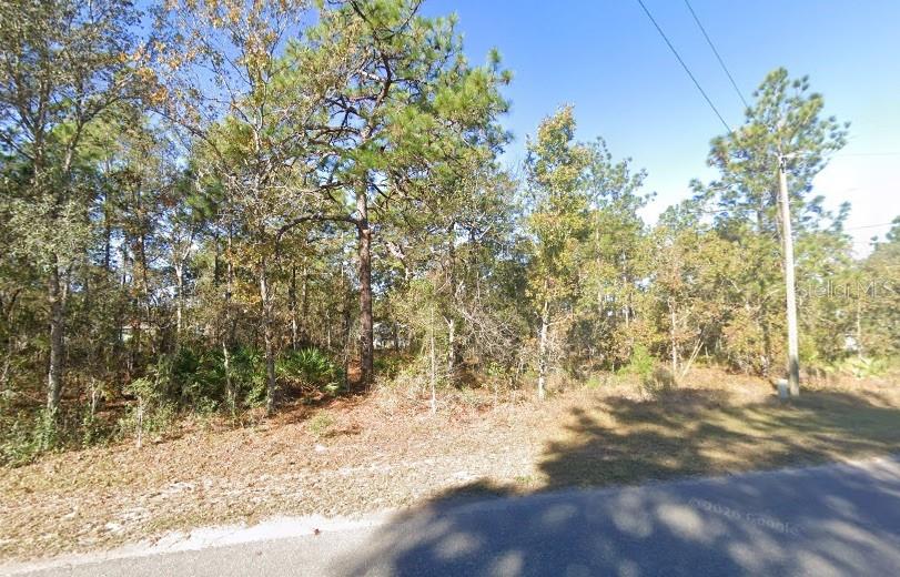 A wooded, undeveloped residential lot sits along a paved road under a clear blue sky — 9037-1222-05, OCKLAWAHA, FL