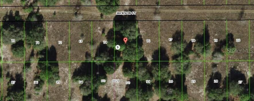 This is a satellite map view showing numbered land parcels along Jackson Street — 2403 JACKSON STREET, INVERNESS, FL