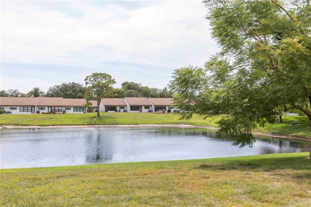 A pond sits in front of a row of single-story residential buildings with green lawns — 7614 RADCLIFFE CIRCLE UNIT B109, PORT RICHEY, FL