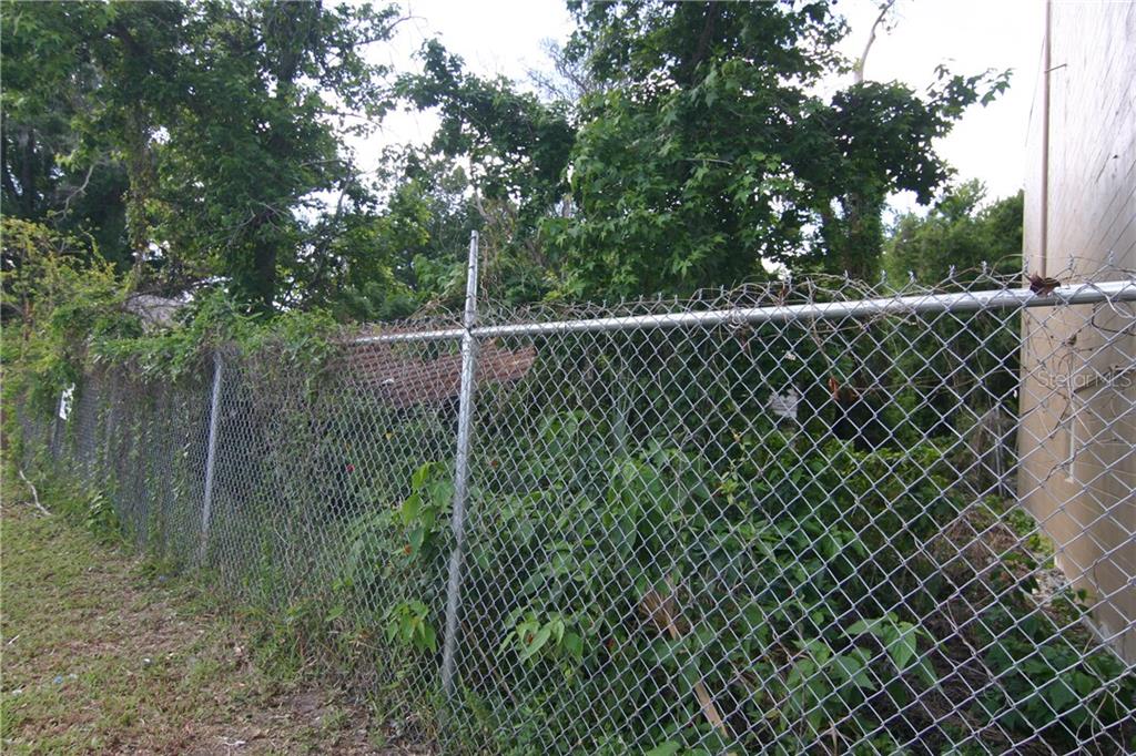 A chain-link fence separates a grassy area from a dense, overgrown lot with trees — 2720 OLD WINTER GARDEN ROAD, ORLANDO, FL