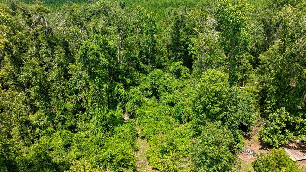 An aerial view shows a dense, wooded lot with a small clearing and overgrown vegetation — 694 SW QUARTER LANE, FORT WHITE, FL