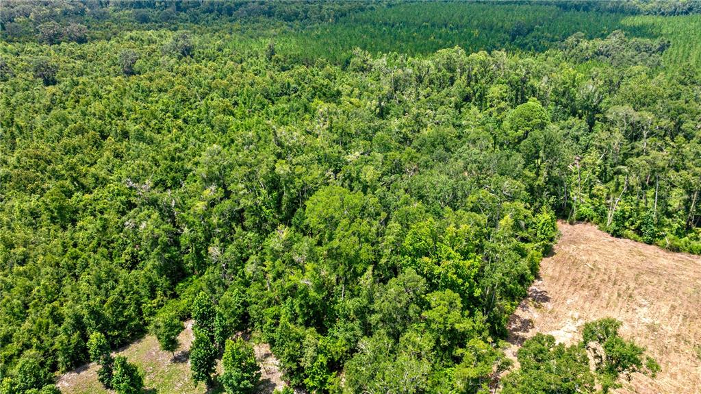 An aerial view shows a dense forest with a partially cleared dirt area — 694 SW QUARTER LANE, FORT WHITE, FL