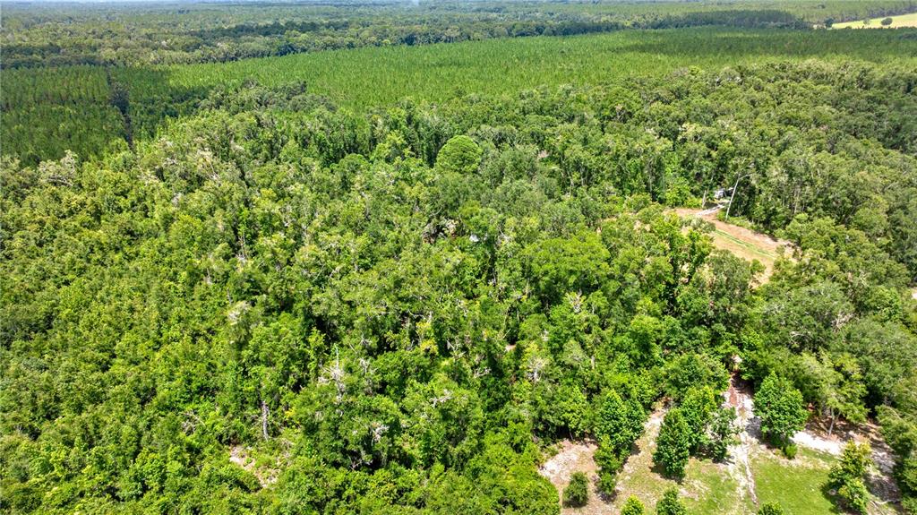An aerial view shows a dense forest with a small clearing and a dirt path — 694 SW QUARTER LANE, FORT WHITE, FL