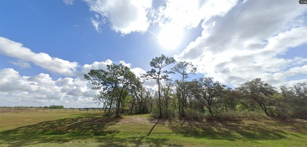 A grassy lot features a cluster of tall pine and oak trees under a sunny sky — COMMONWEALTH AVE N, POLK CITY, FL
