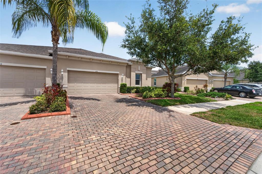 A paved driveway leads to the garage of a single-story house with a palm tree — 642 CHIPPER DRIVE, SUN CITY CENTER, FL