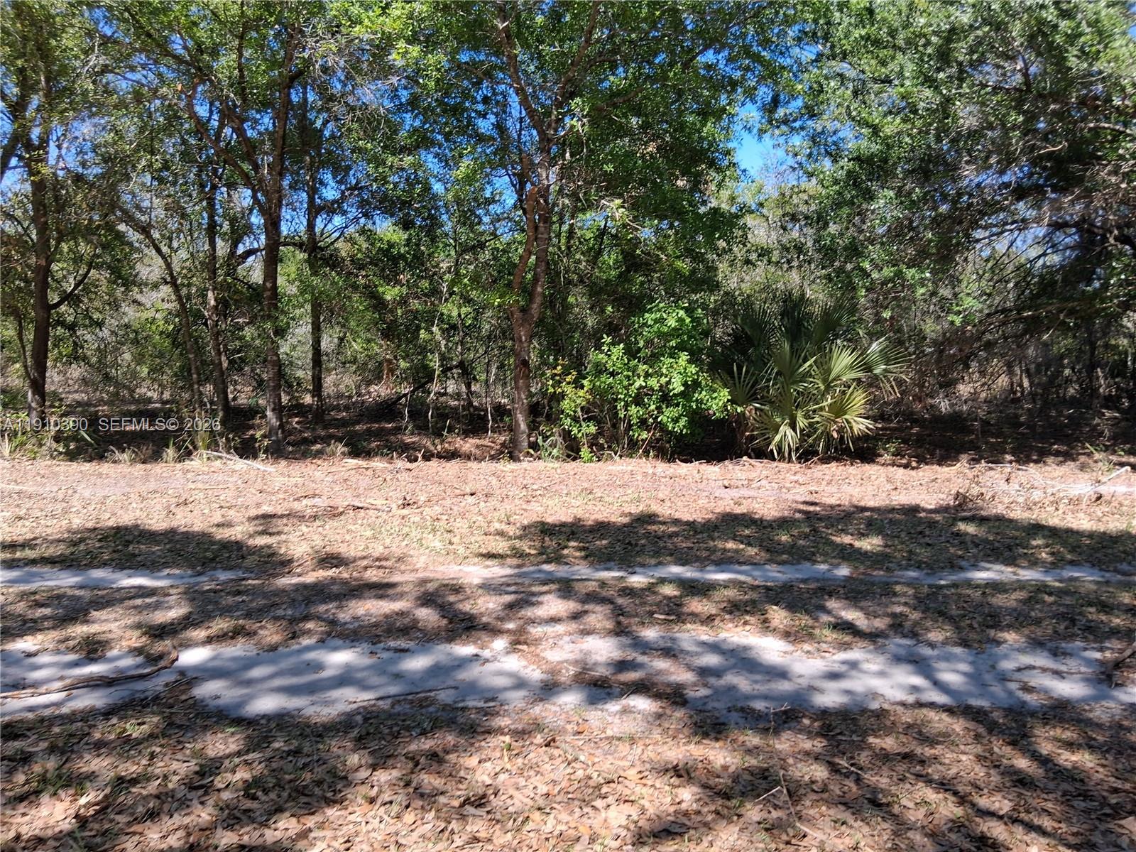 2822 W Yepremian Rd, Avon Park FL 33825