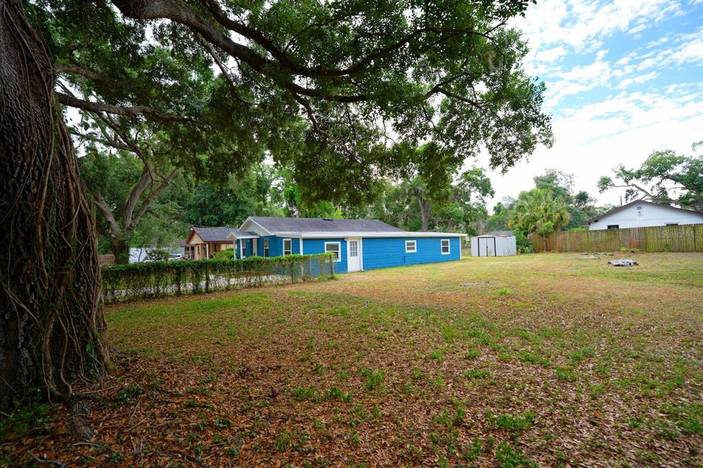 A blue house sits on a large, grassy lot shaded by a large tree — 503 MOORE AVENUE, SEFFNER, FL