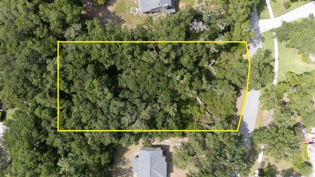 An aerial view shows a rectangular, tree-covered vacant lot outlined in yellow near a road — 160 STEEPLECHASE CIRCLE, SANFORD, FL