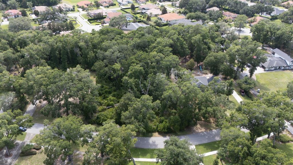 An aerial view shows a wooded residential lot surrounded by houses and a curved street — 160 STEEPLECHASE CIRCLE, SANFORD, FL