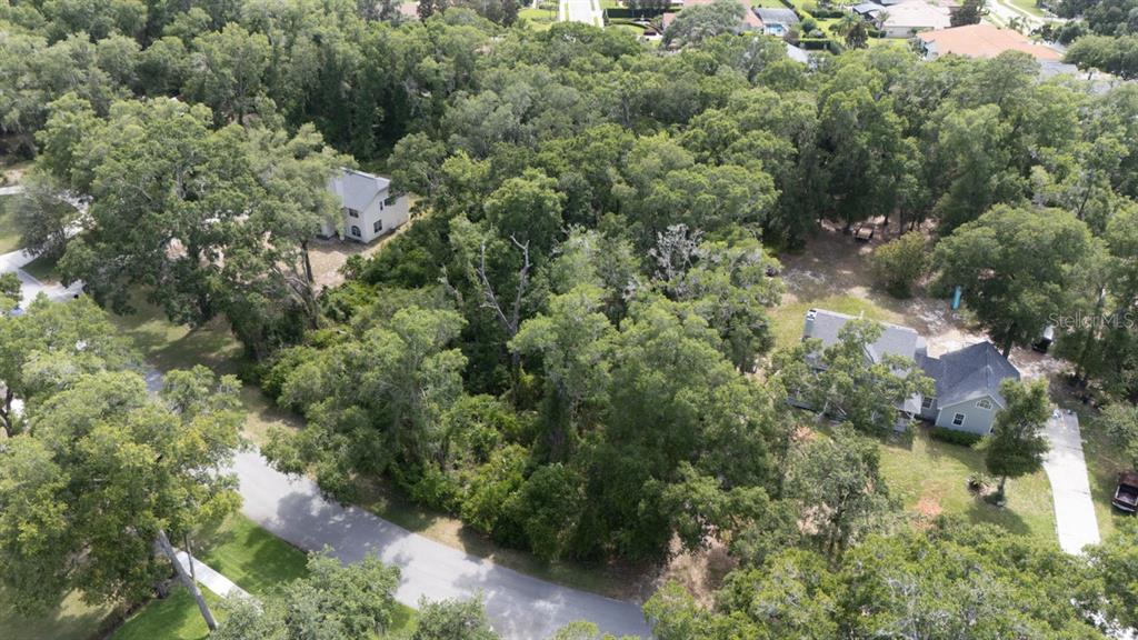 An aerial view shows a wooded residential lot situated between two houses and a road — 160 STEEPLECHASE CIRCLE, SANFORD, FL