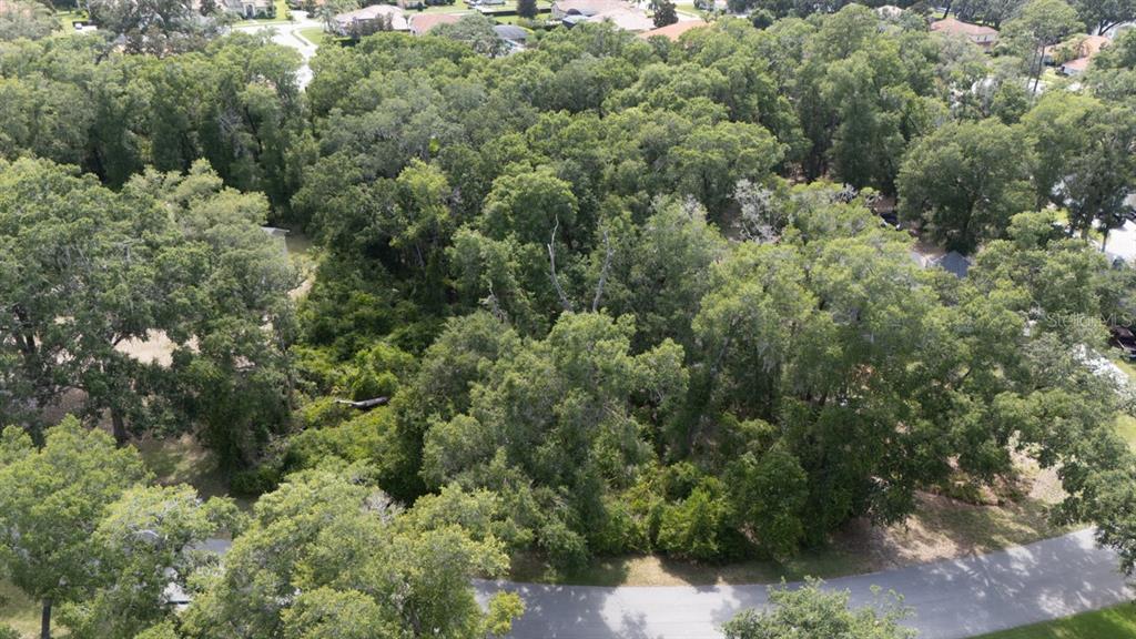 An aerial view shows a heavily wooded, undeveloped residential lot bordered by a paved road — 160 STEEPLECHASE CIRCLE, SANFORD, FL