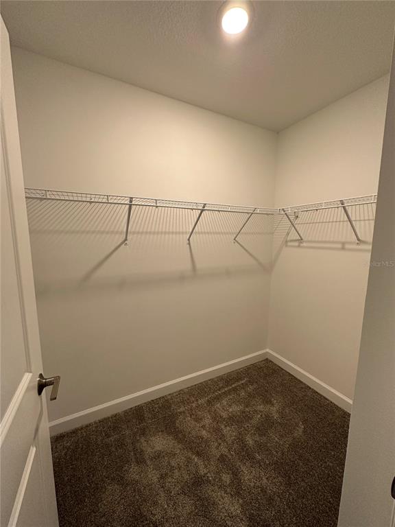 A walk-in closet features white wire shelving, neutral walls, and wall-to-wall carpeting — 3068 ADDISON BOULEVARD, ST CLOUD, FL