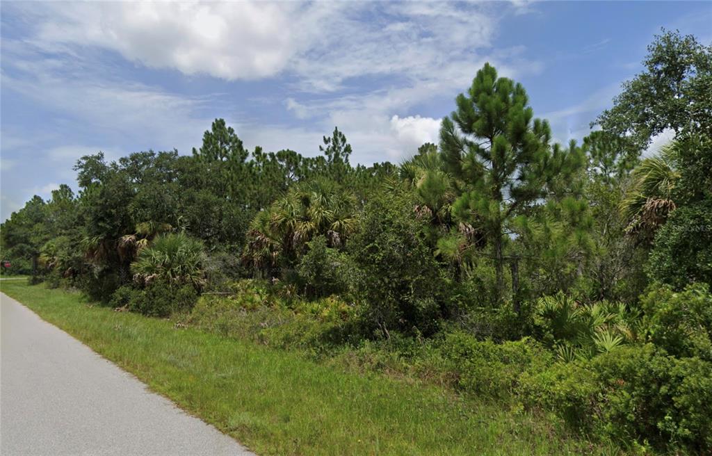 A paved road runs alongside a wooded lot with pine trees and palmetto bushes — 270 FRIENDLY STREET, PORT CHARLOTTE, FL