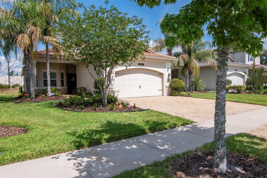 A single-story house with a beige exterior, a two-car garage, and a landscaped front yard — 2761 TARRAGONA WAY, WESLEY CHAPEL, FL