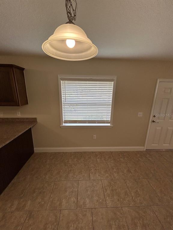 A kitchen dining area features tile flooring, a pendant light, a window, and a door — 119 W 10TH AVENUE, MOUNT DORA, FL