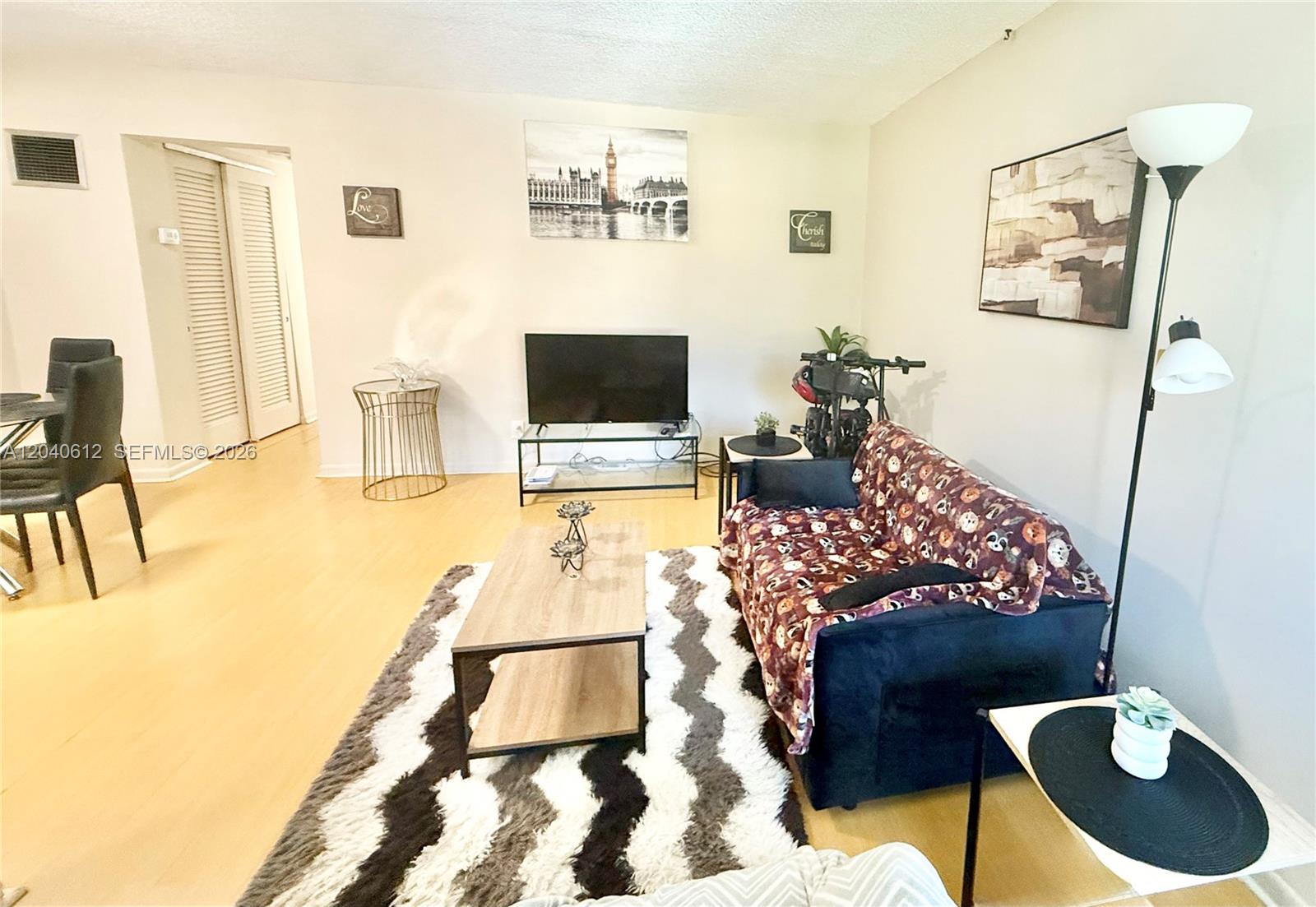 A living room features light wood flooring, a patterned rug, a sofa, and a television — 2145 Pierce St # 206, Hollywood FL 33020, HOLLYWOOD, FL